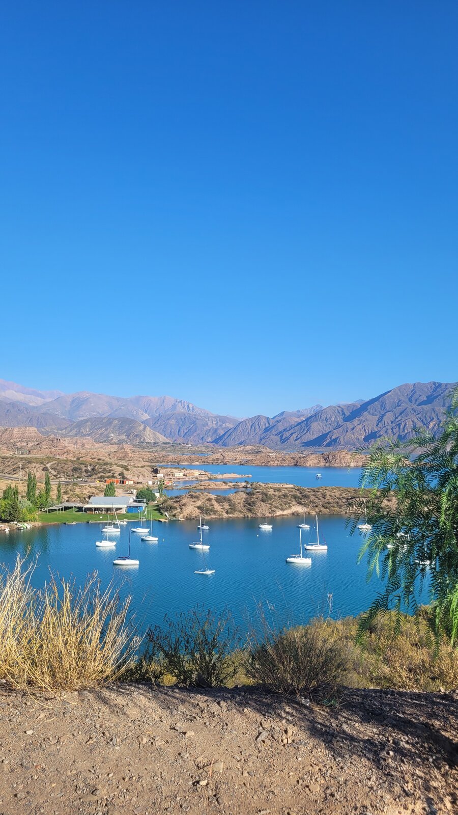 Mendoza