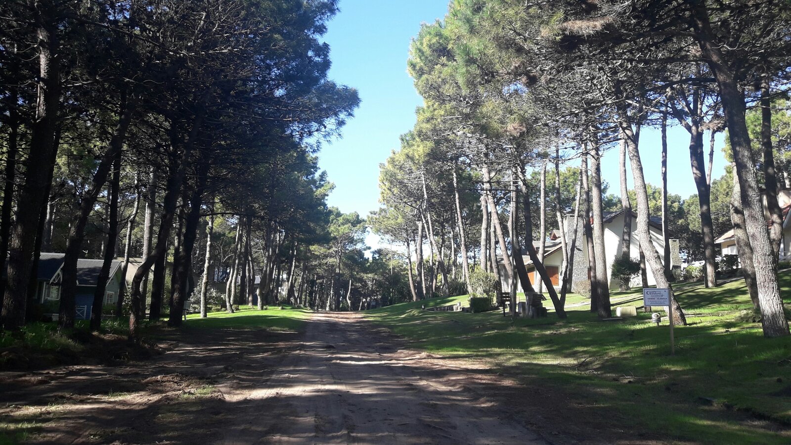 El bosque de Pinamar