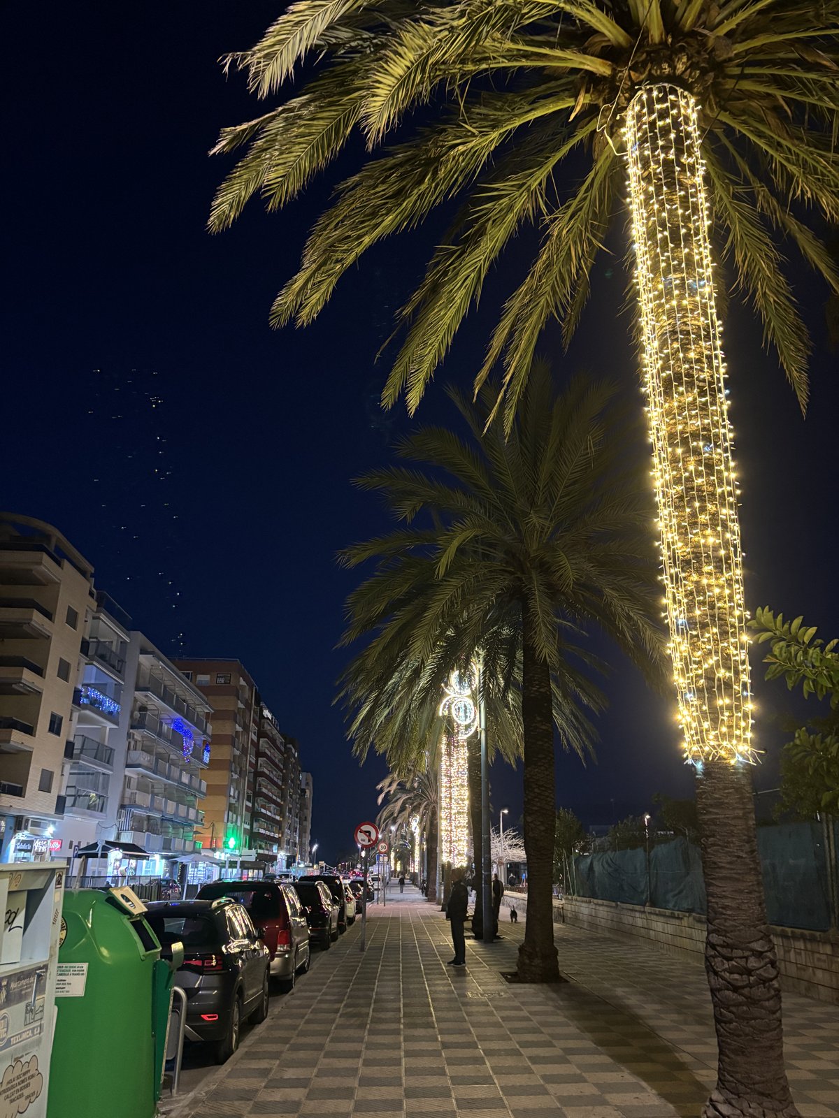 El paseo de palmeras de noche