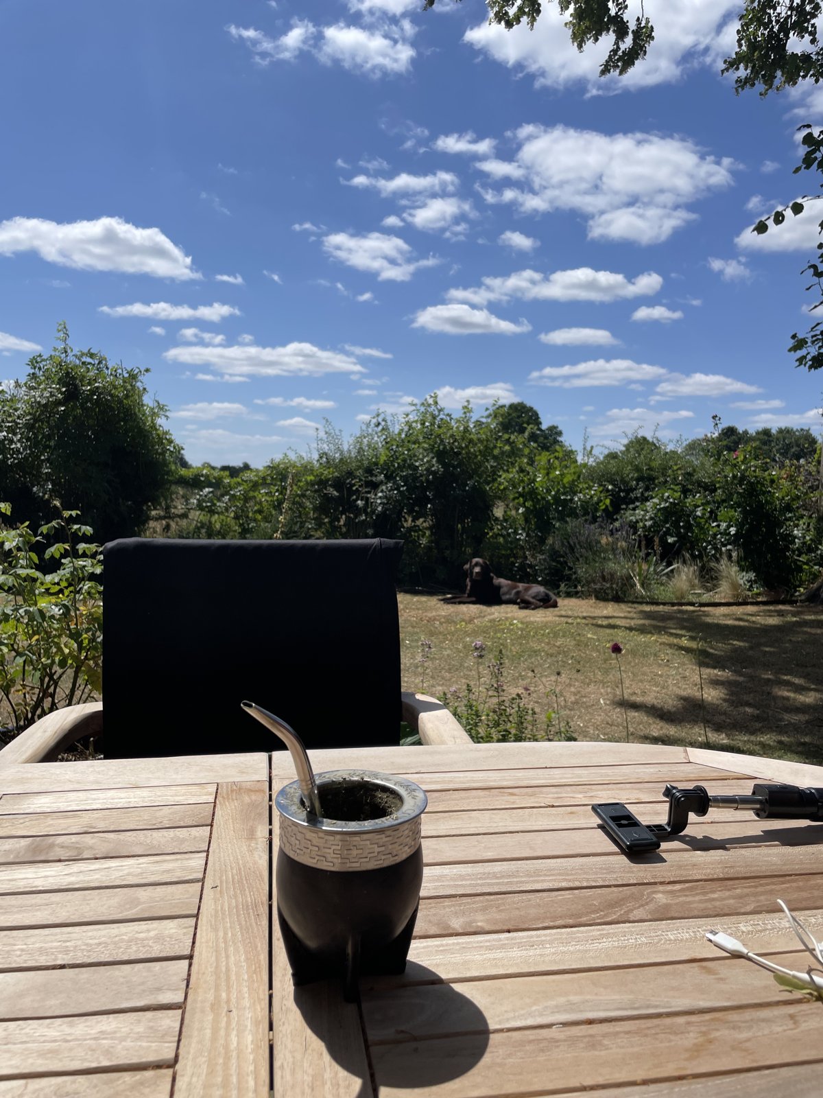 Tomando mate en un jardín en Winchester