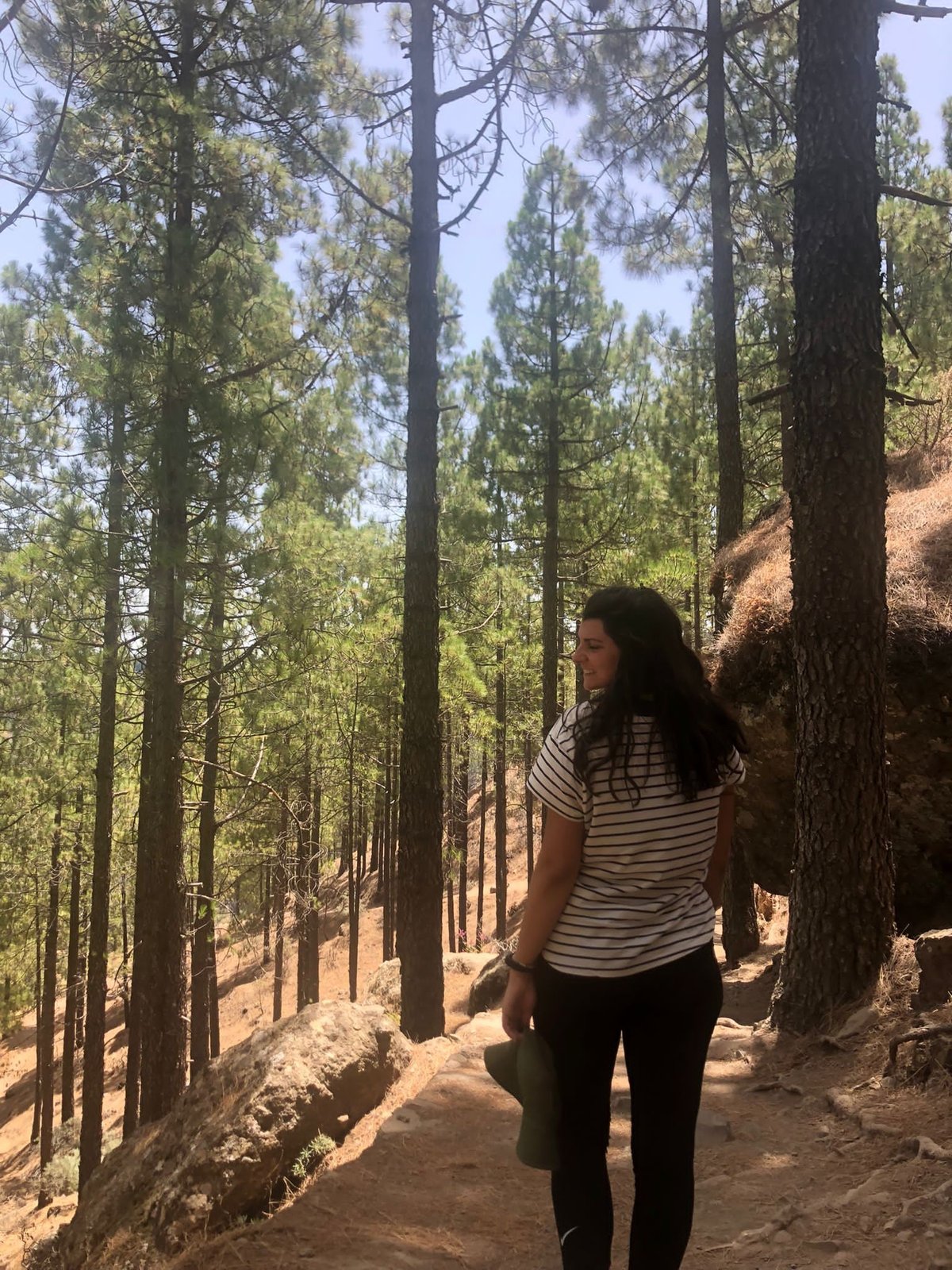 El pinar, en una excursión al interior de la isla