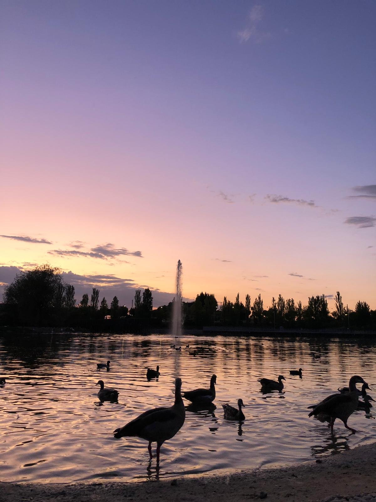 Atardecer en el Parque de Valdebernardo